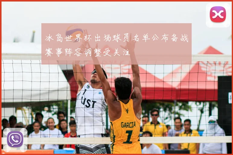 冰岛世界杯出场球员名单公布备战赛事阵容调整受关注