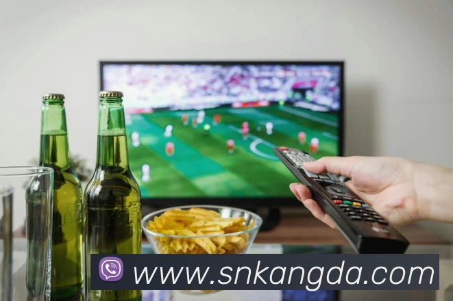 世界杯中文版APP 封面图